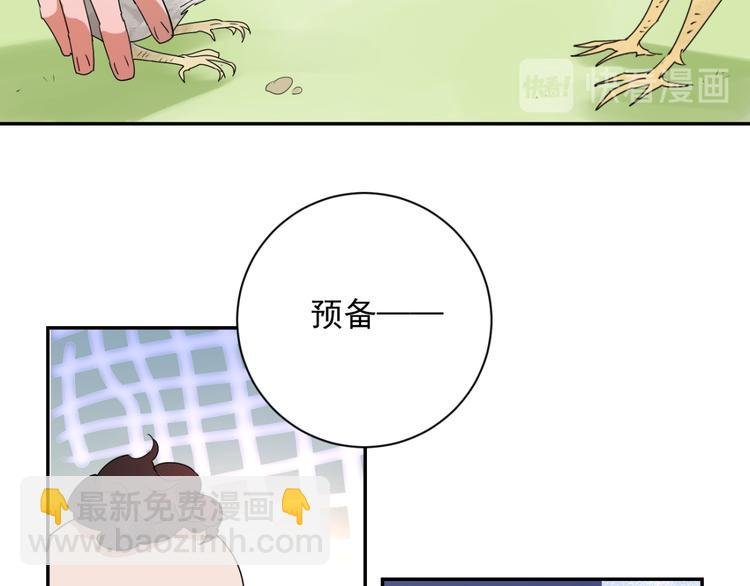 第2话 斗鸡（二）