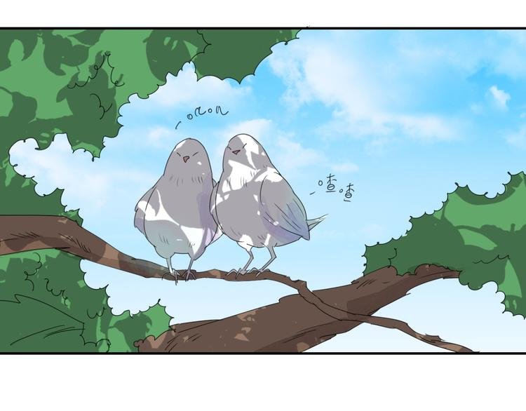 第24话 历练（一）