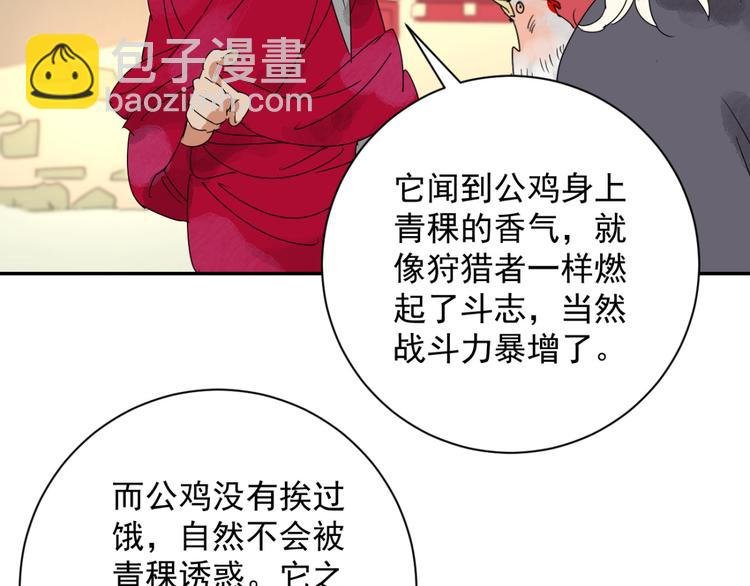 第3话 斗鸡（三）