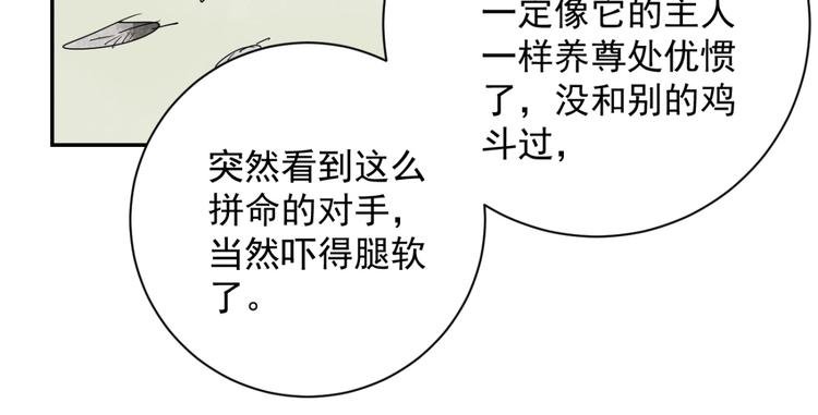 第3话 斗鸡（三）