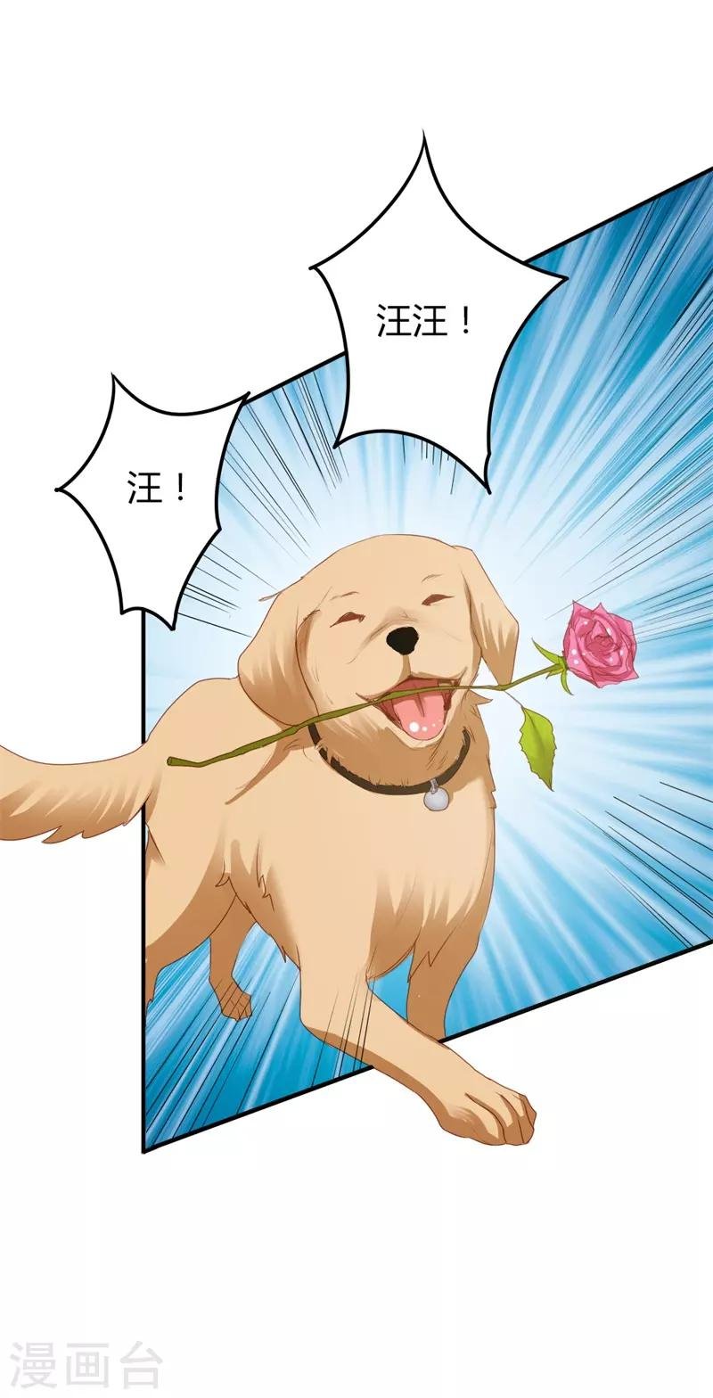 第二部第19话 给我一次机会吧