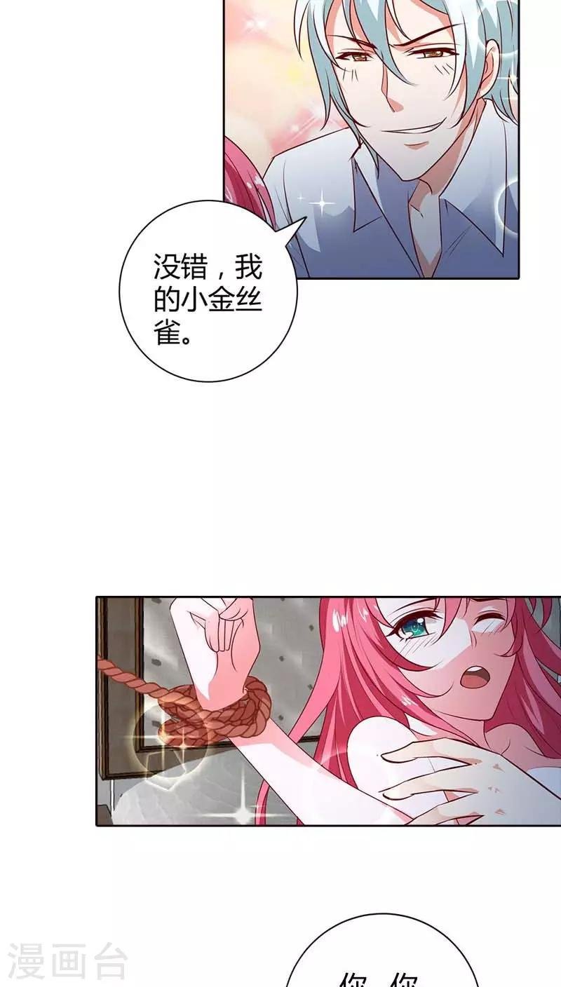第74话 我的小金丝雀