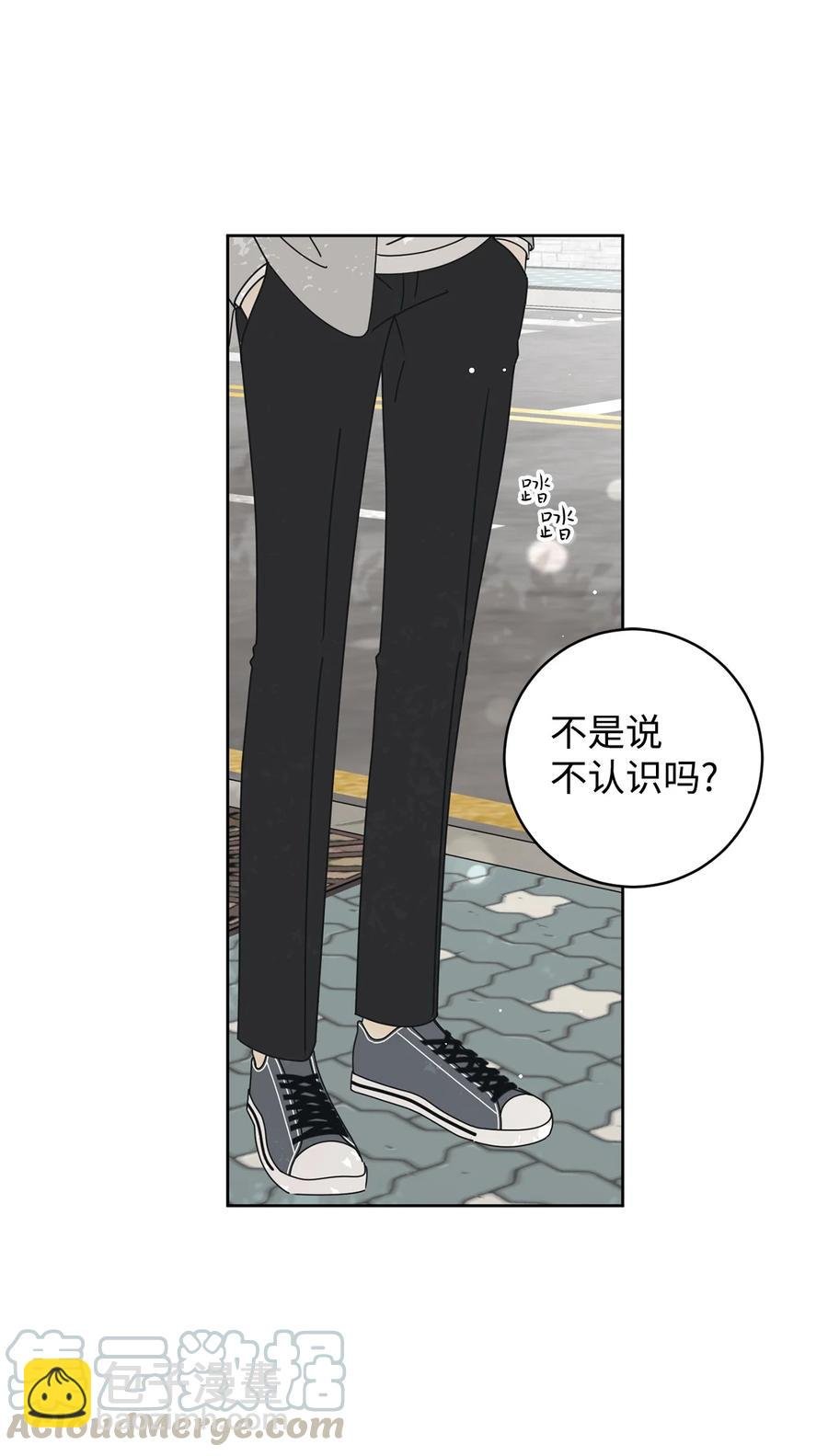 13 当你的小狗