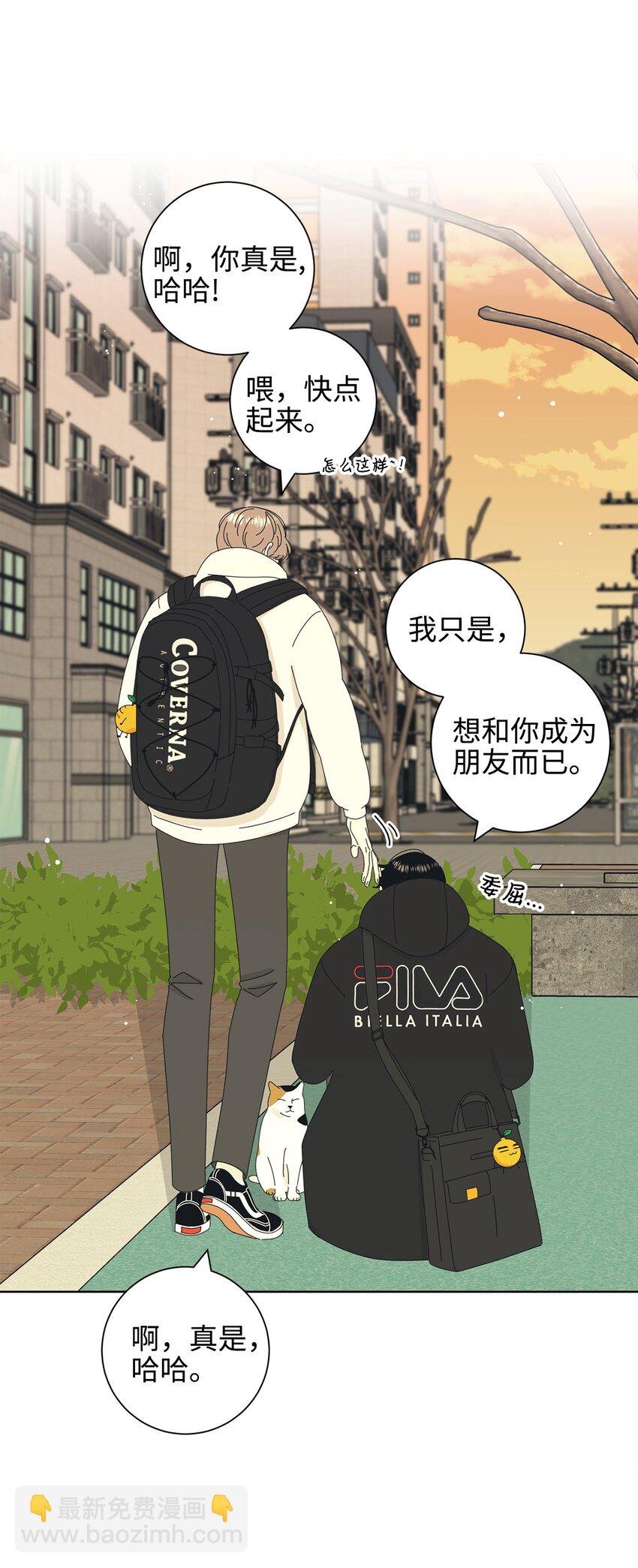 03 一起喂猫