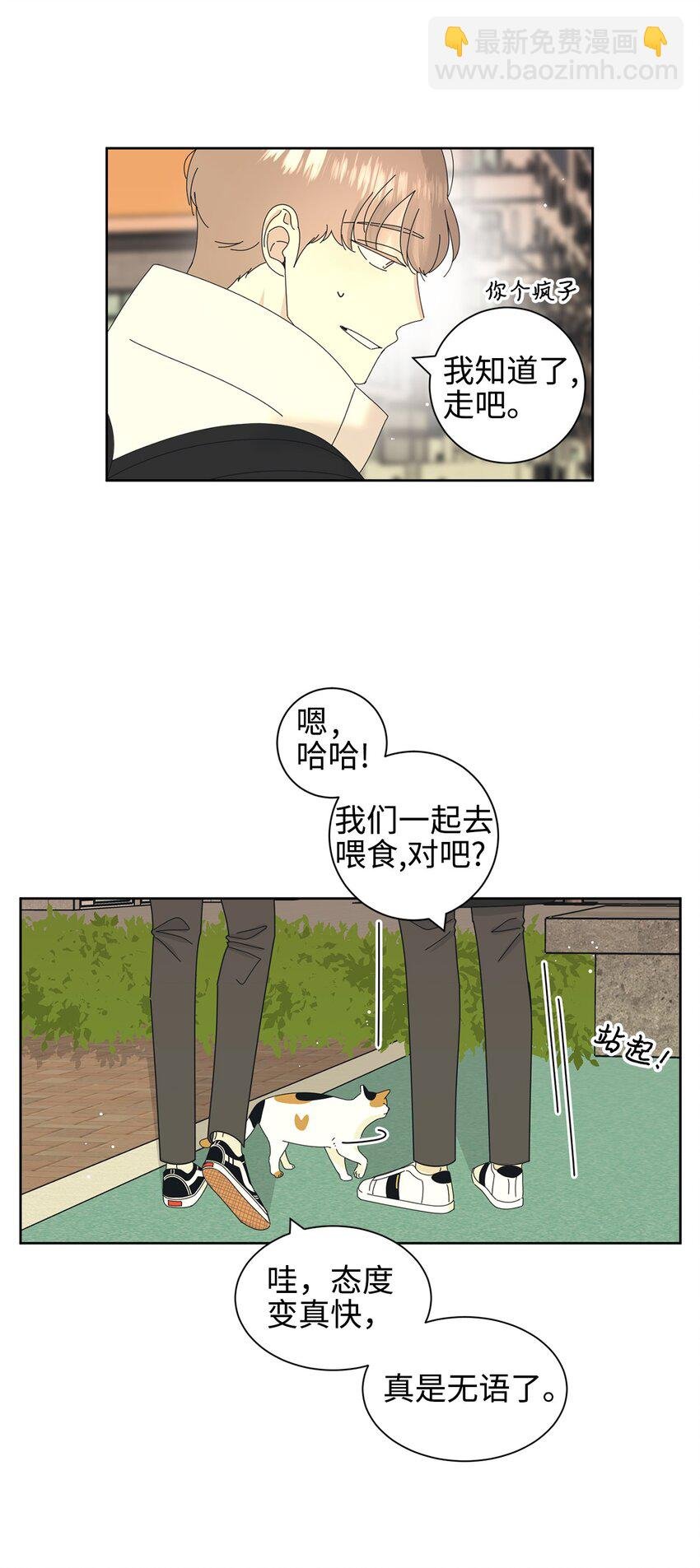 03 一起喂猫