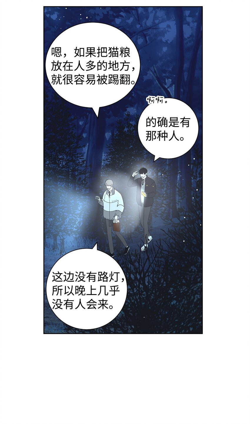 03 一起喂猫