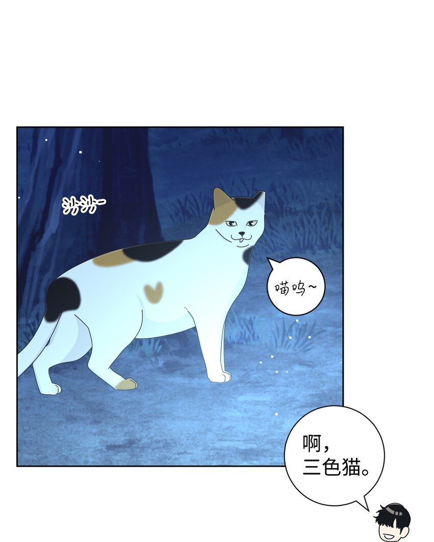 03 一起喂猫