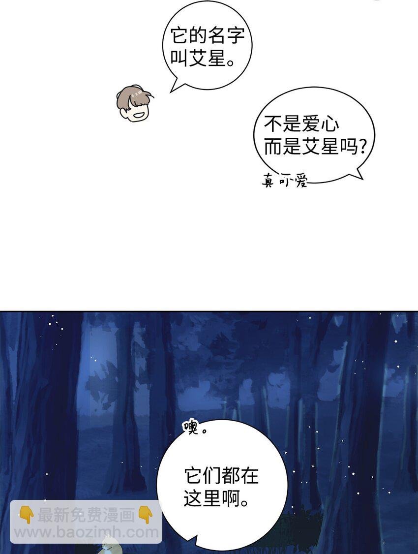 03 一起喂猫