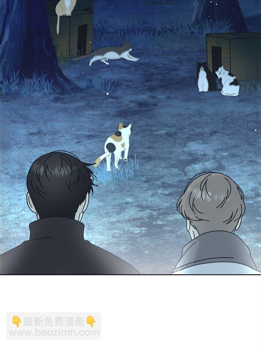03 一起喂猫