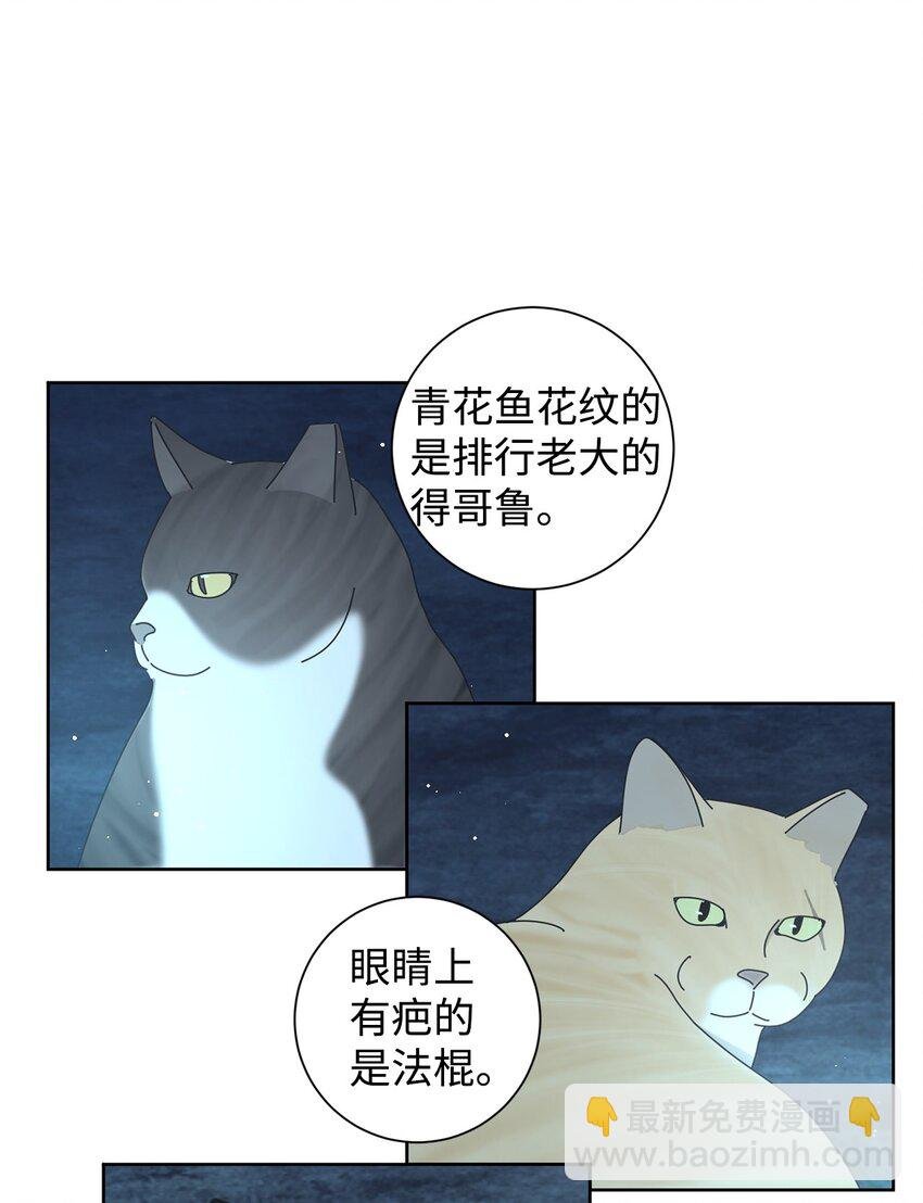 03 一起喂猫