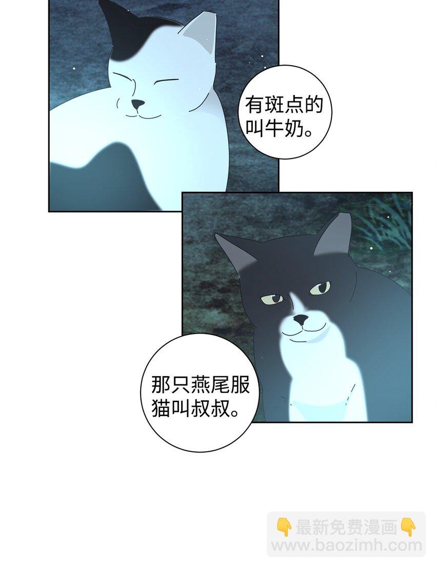 03 一起喂猫