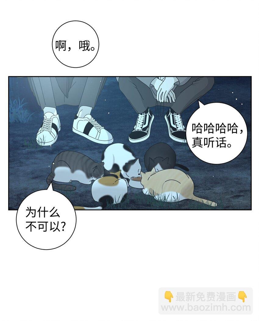03 一起喂猫