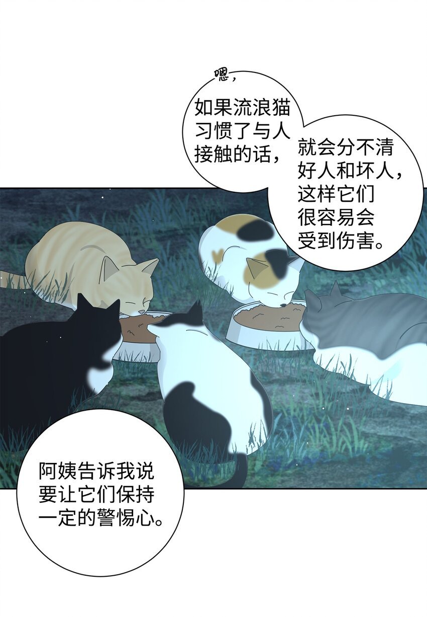 03 一起喂猫