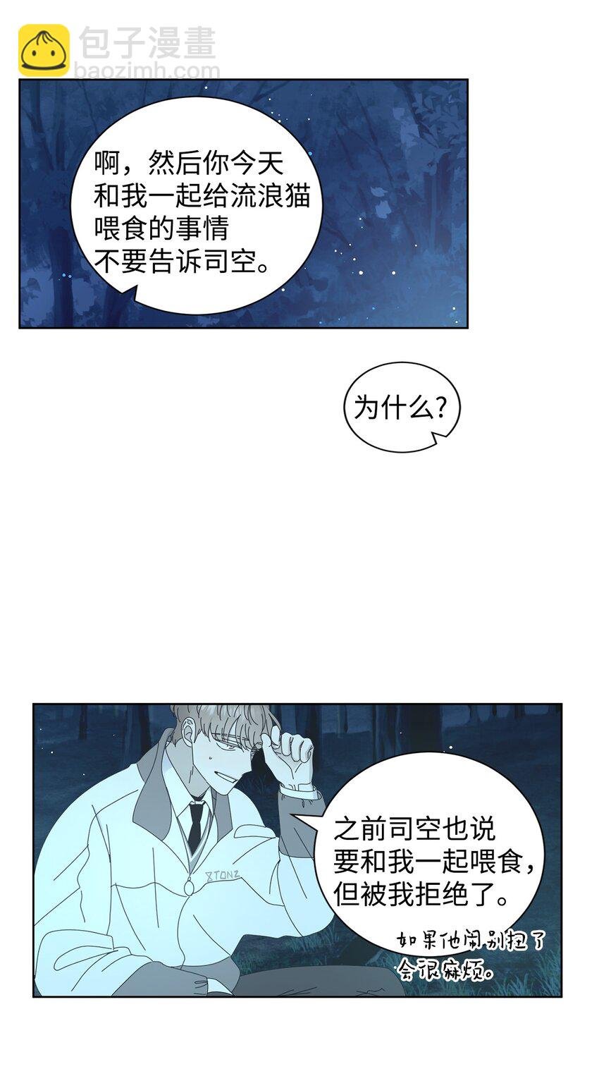 03 一起喂猫