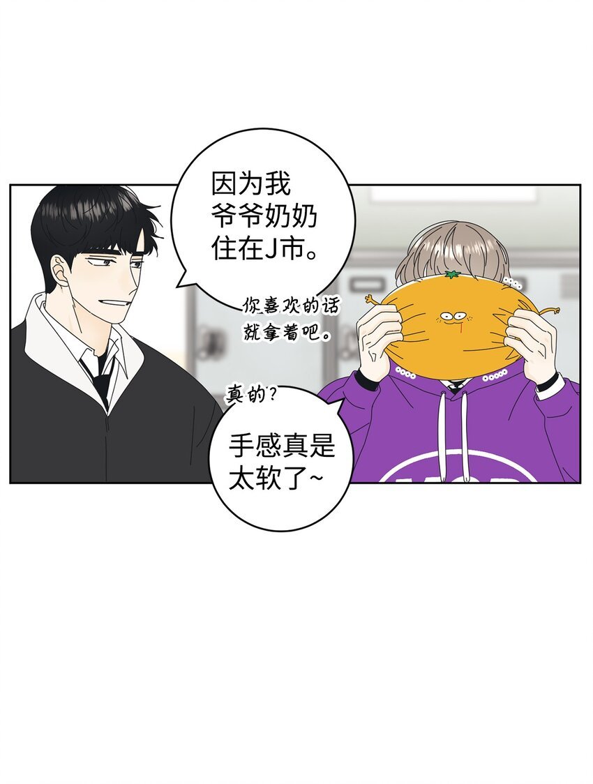 03 一起喂猫