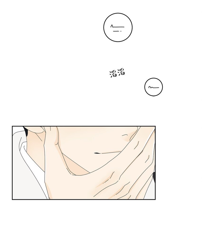 03 一起喂猫