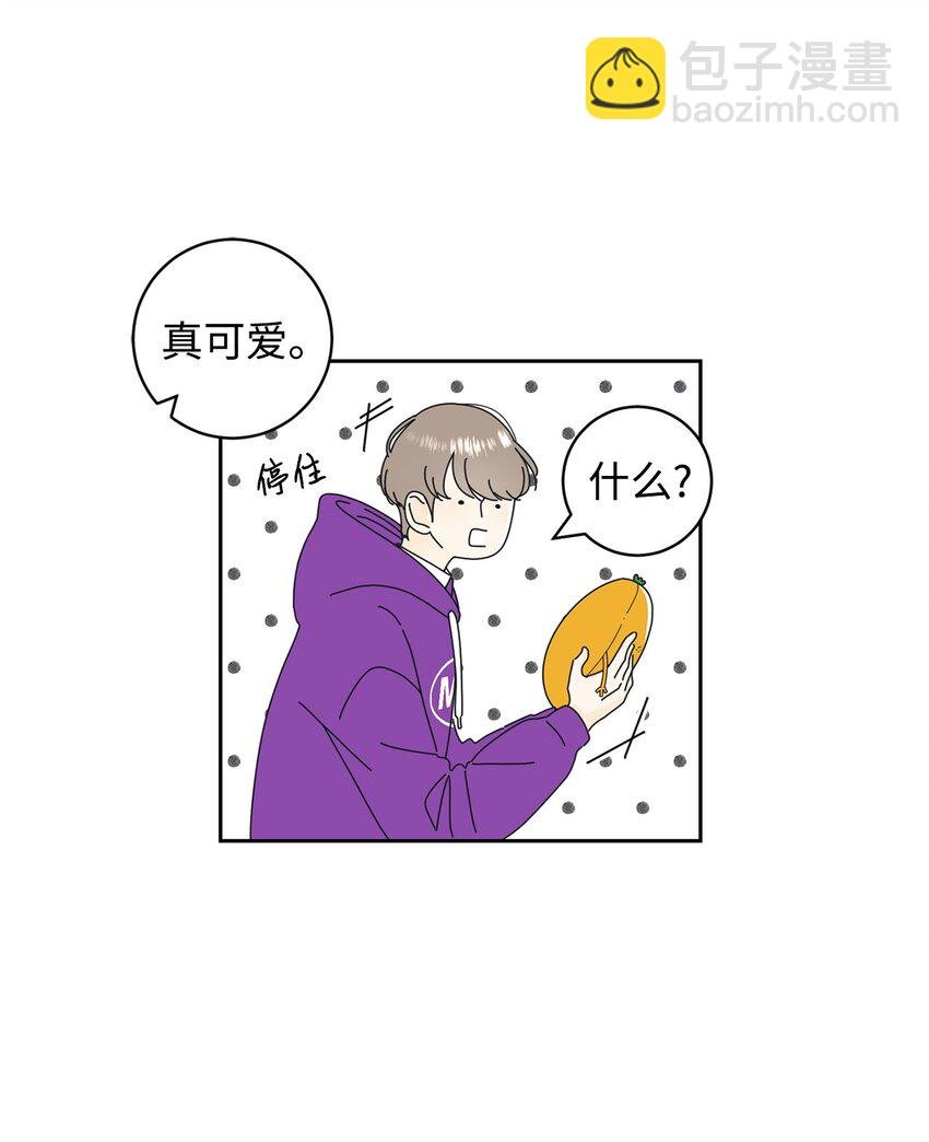 03 一起喂猫