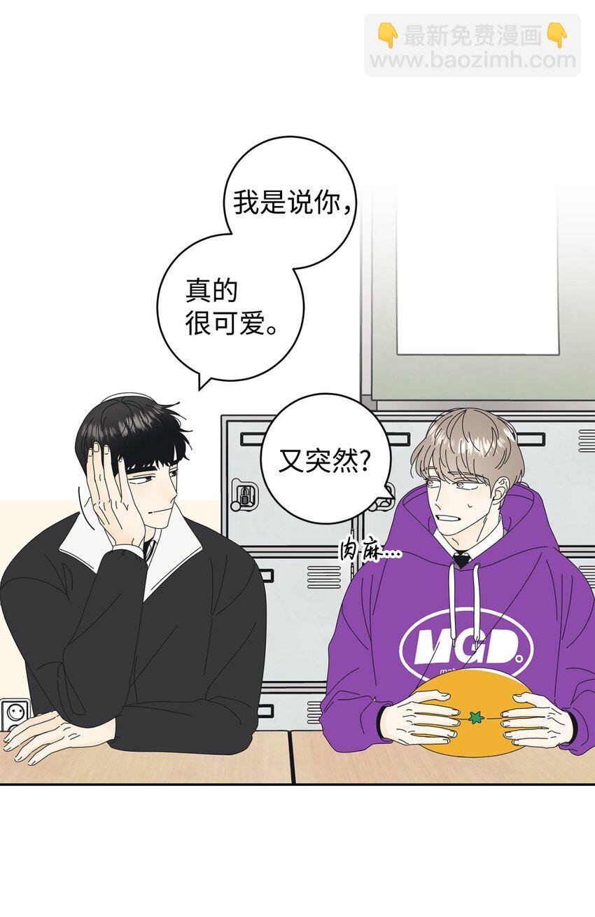 03 一起喂猫