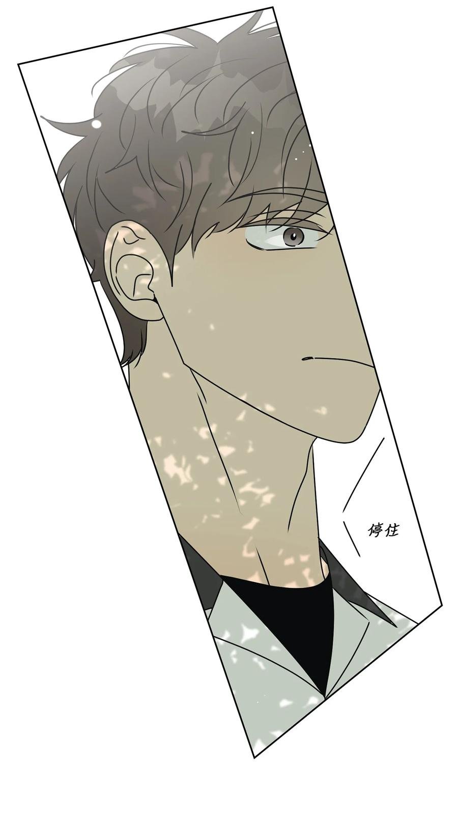 41 他那么怂