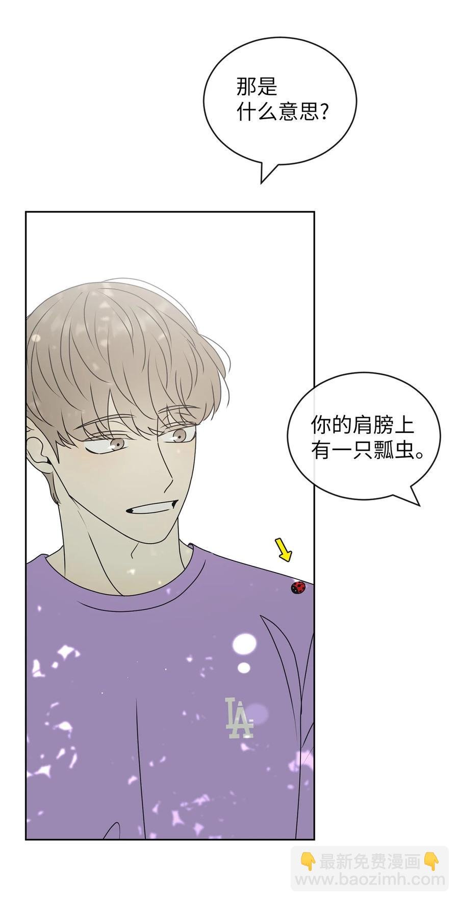 44 祈愿