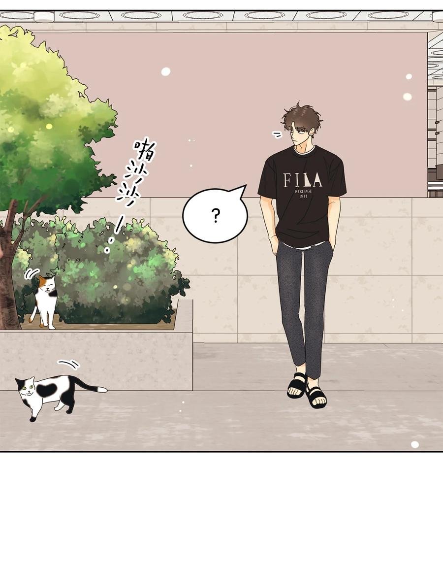 49 谎言