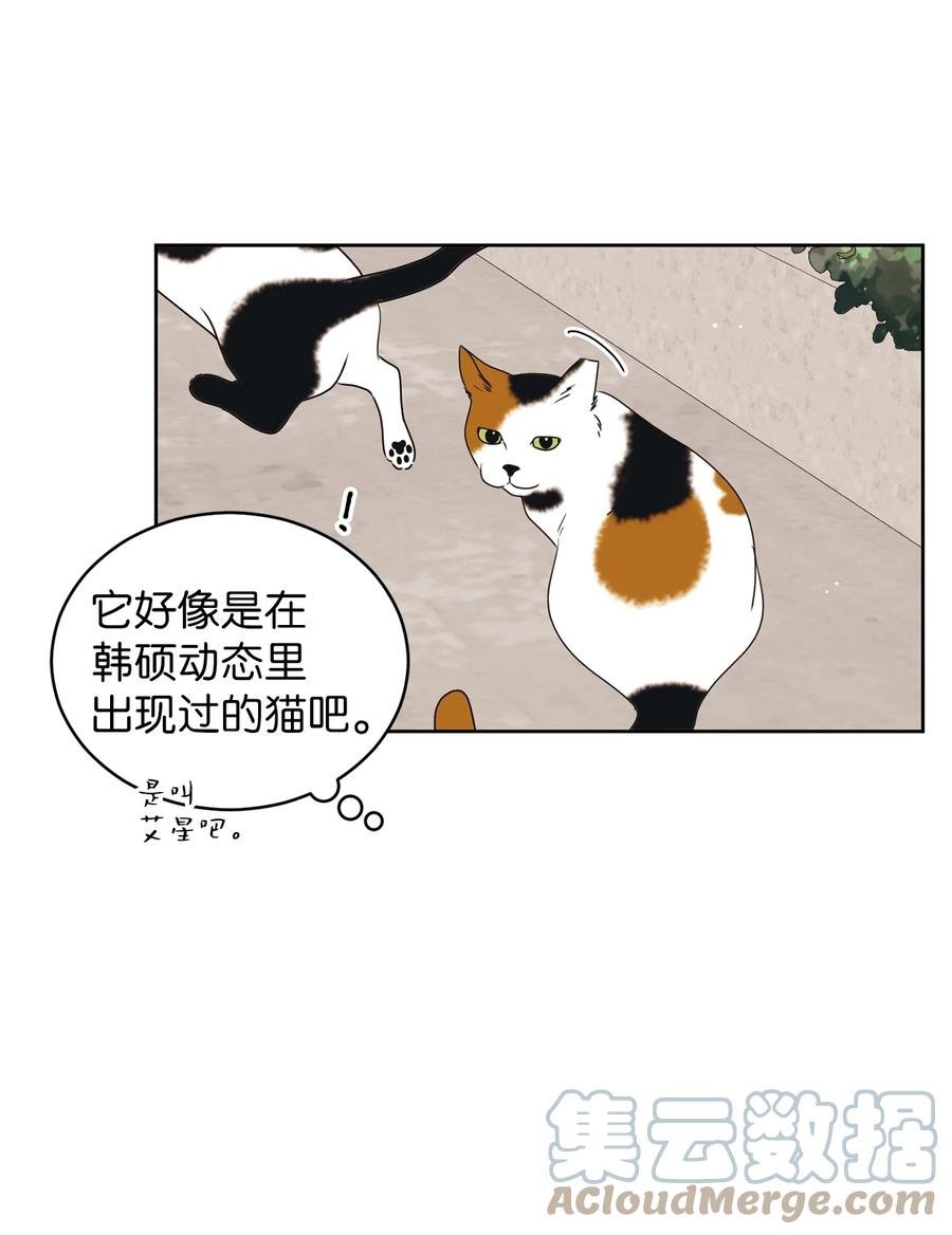 49 谎言