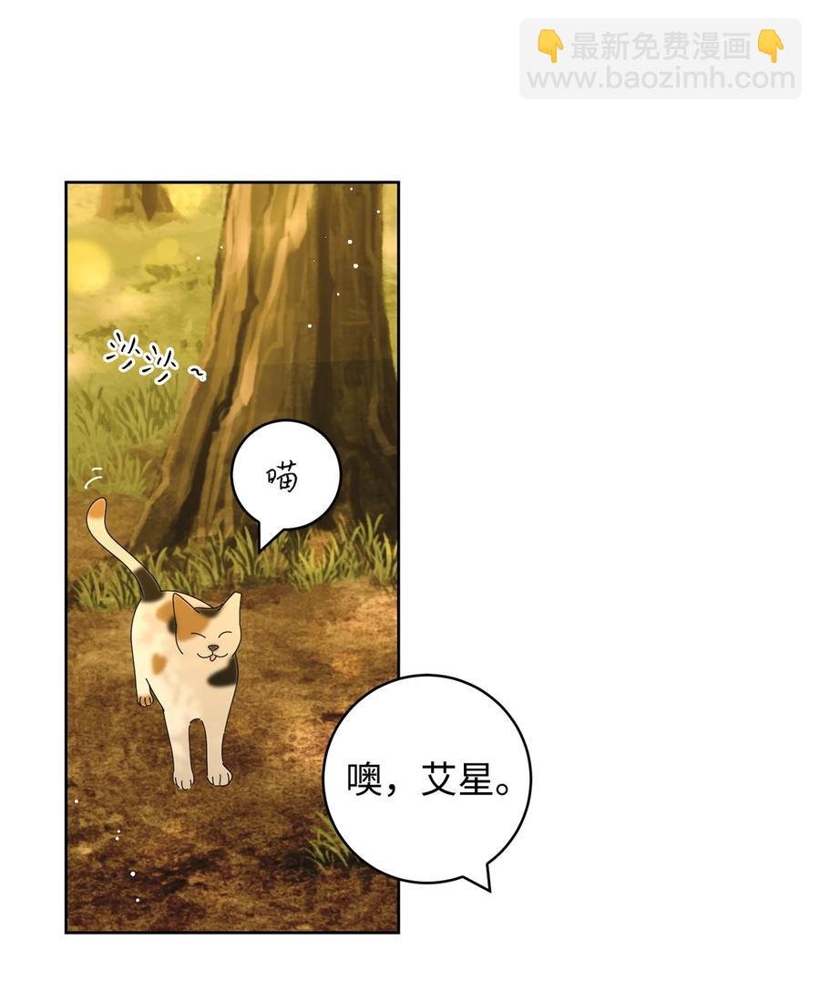 07 我替你喂猫