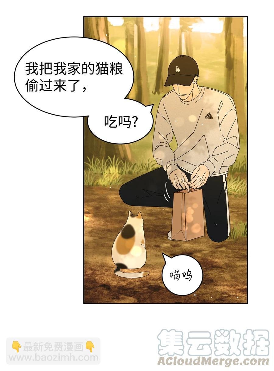 07 我替你喂猫