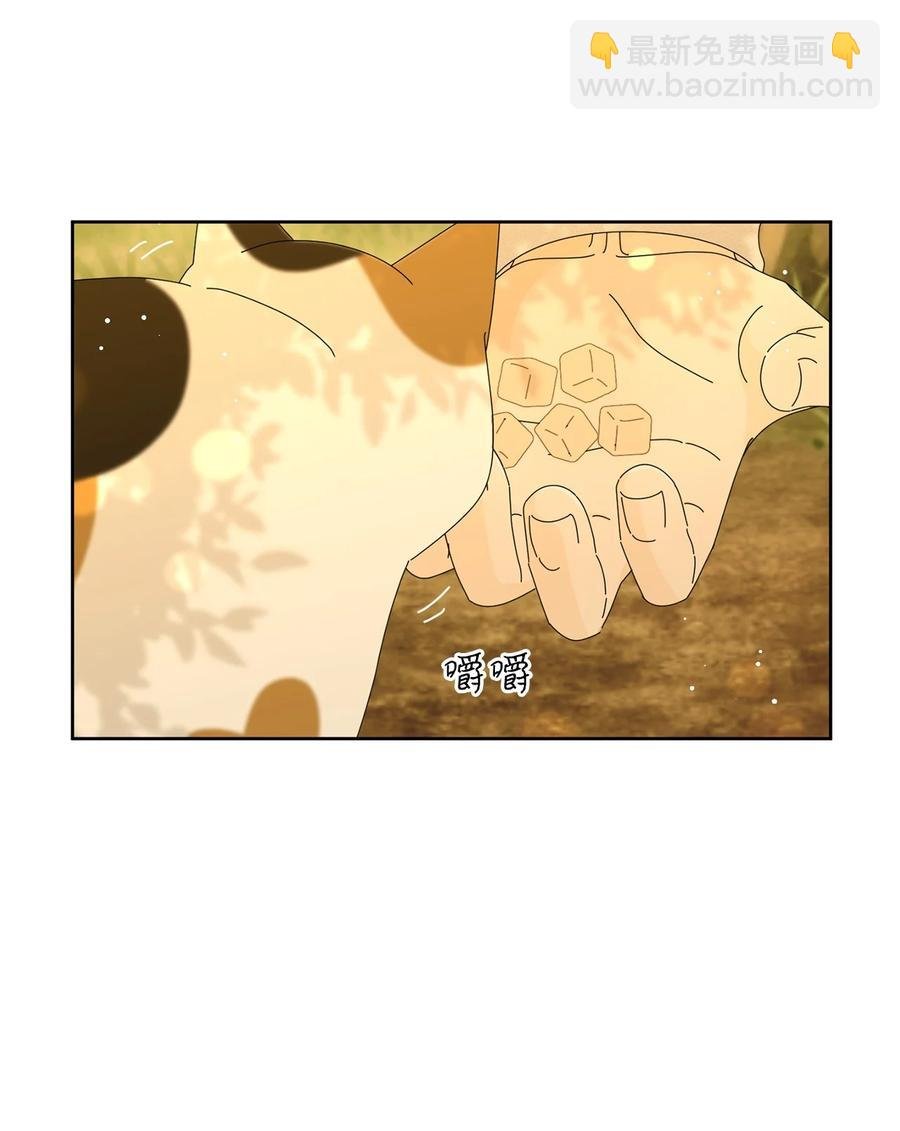 07 我替你喂猫