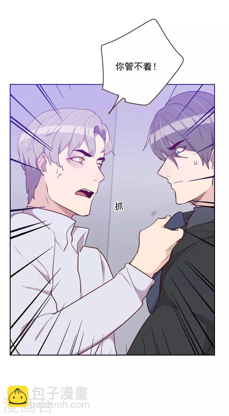第146话 鞋子引发的战争
