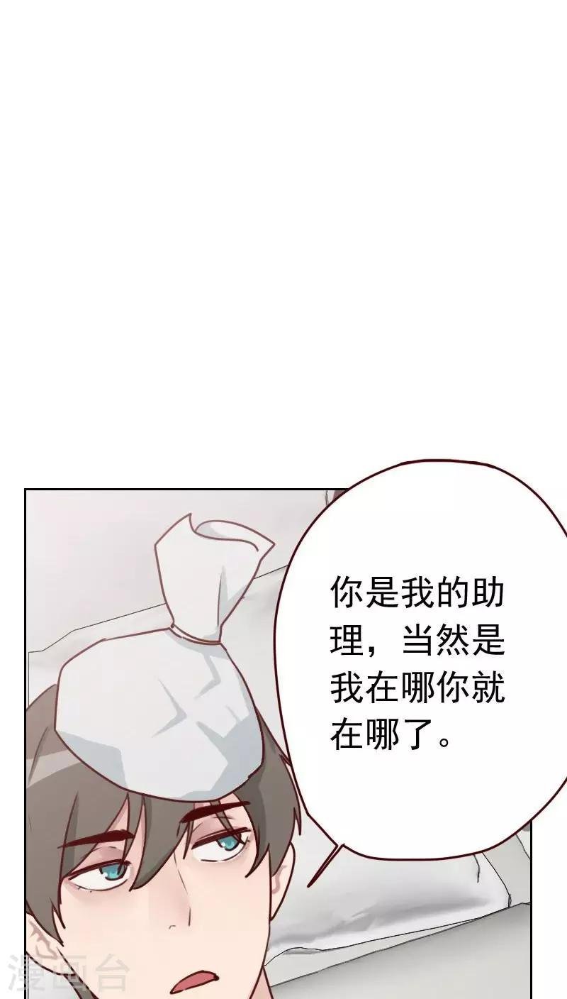 第33话 豆腐心