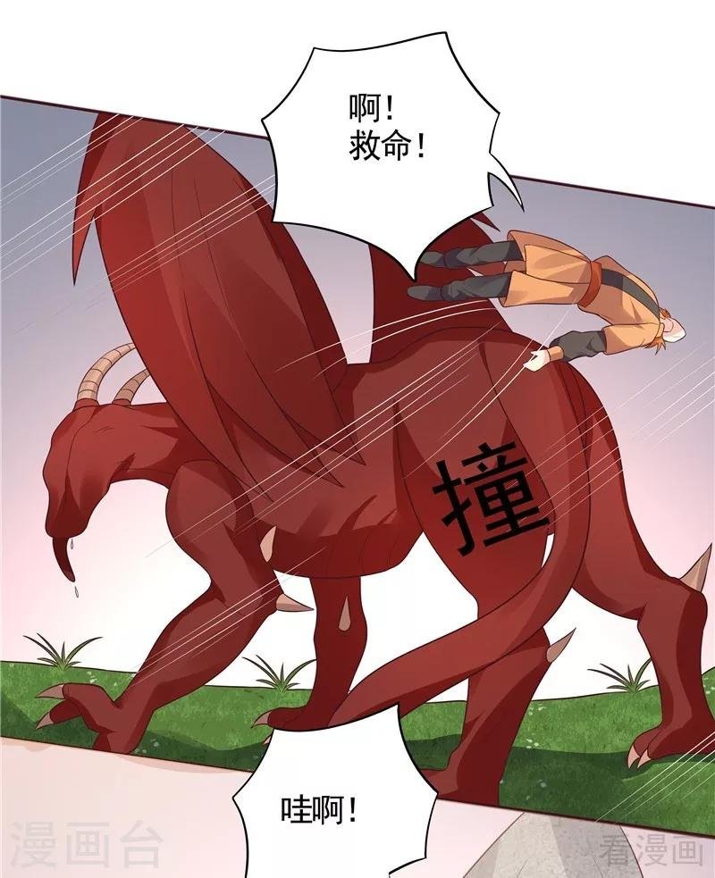 第108话 二十三岁的九级玄师