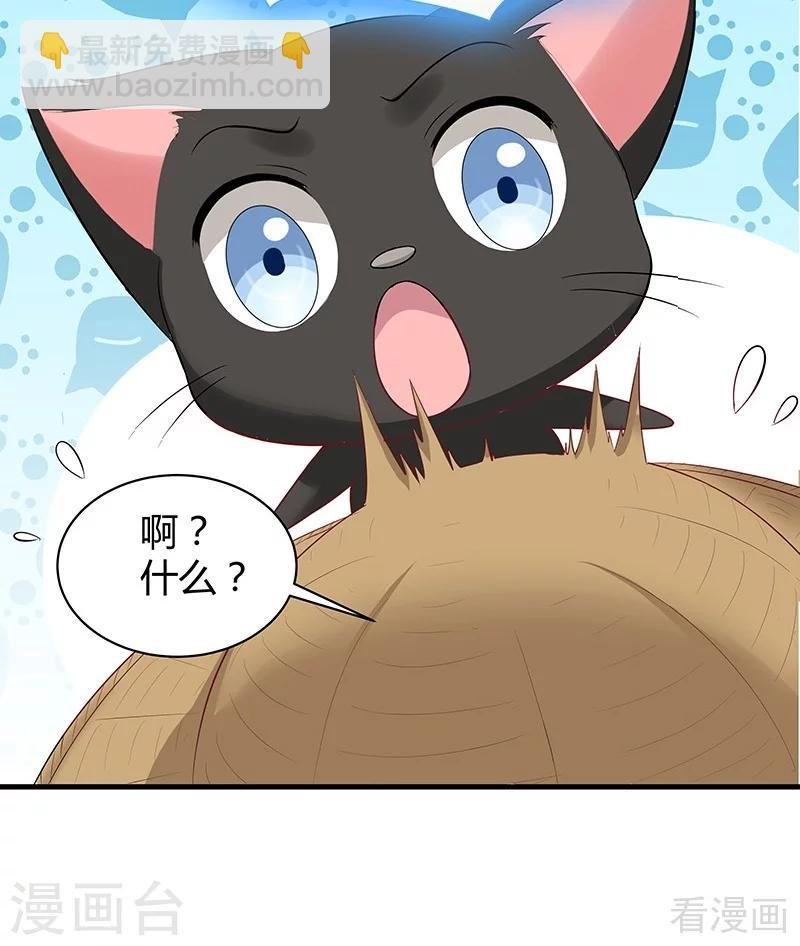第16话 修炼释灵丹