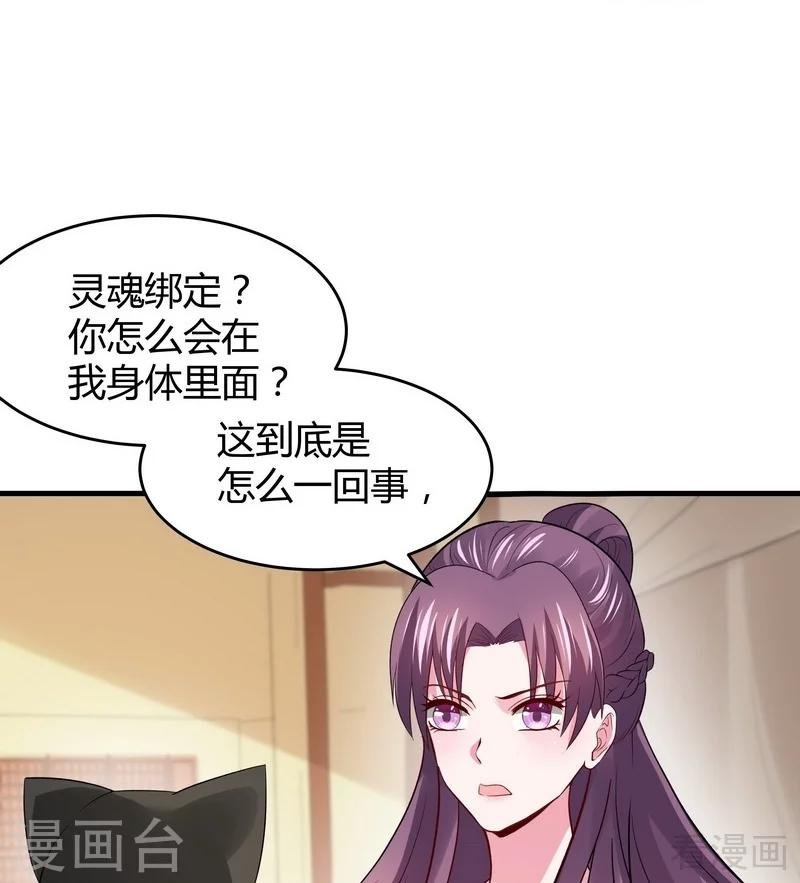 第5话 开启打脸系统