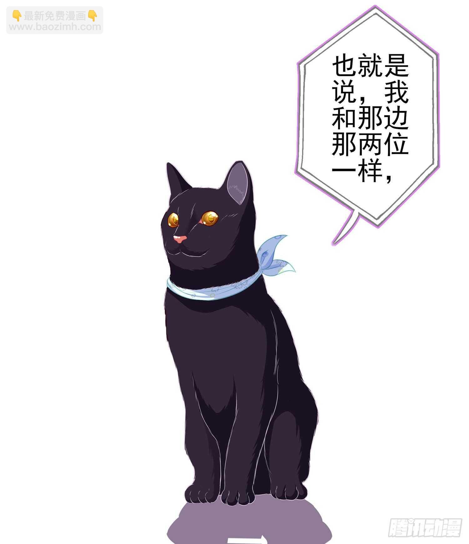 从欺骗开始（下）