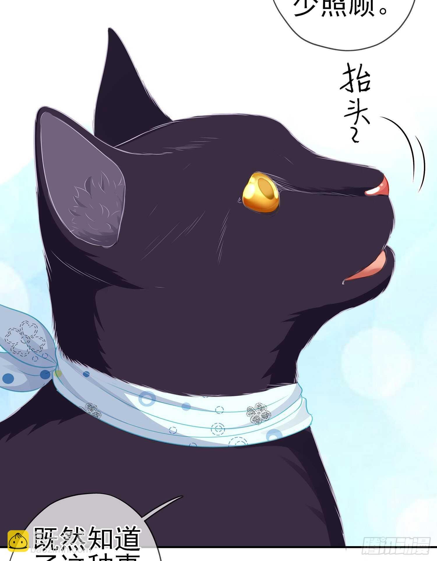 我是乞丐（下）