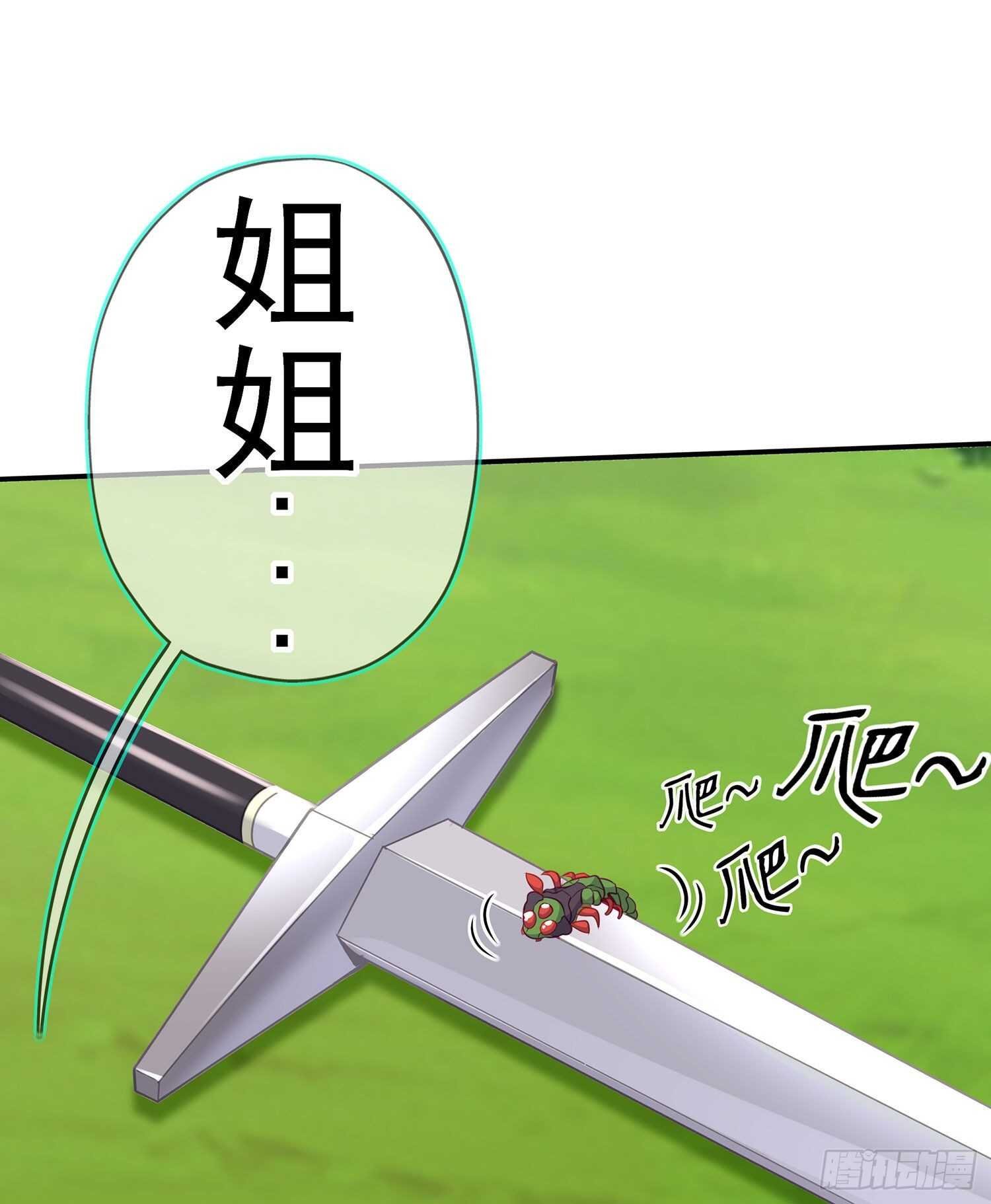 喀翠丝·维德布尔（上）
