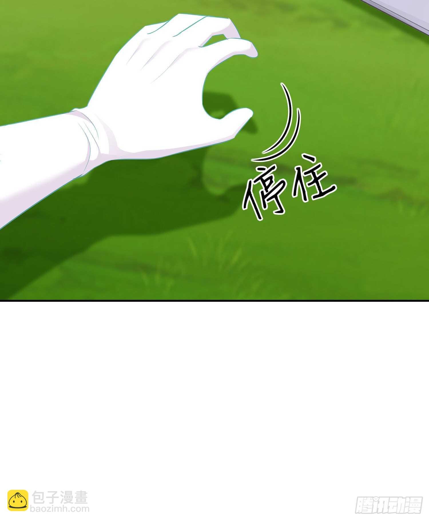 喀翠丝·维德布尔（上）