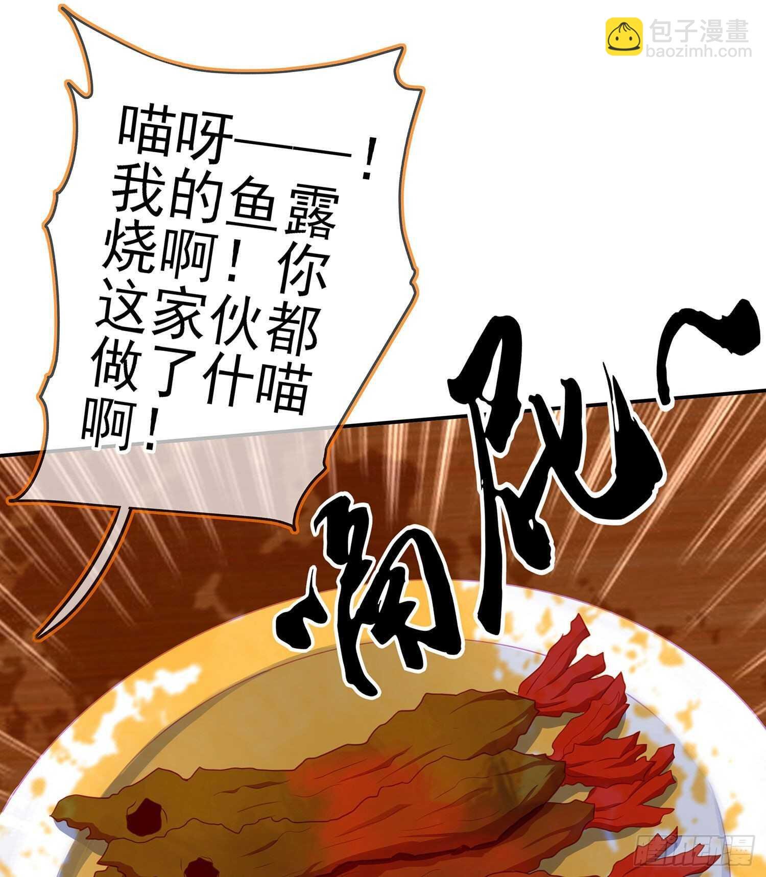 喀翠丝·维德布尔（上）