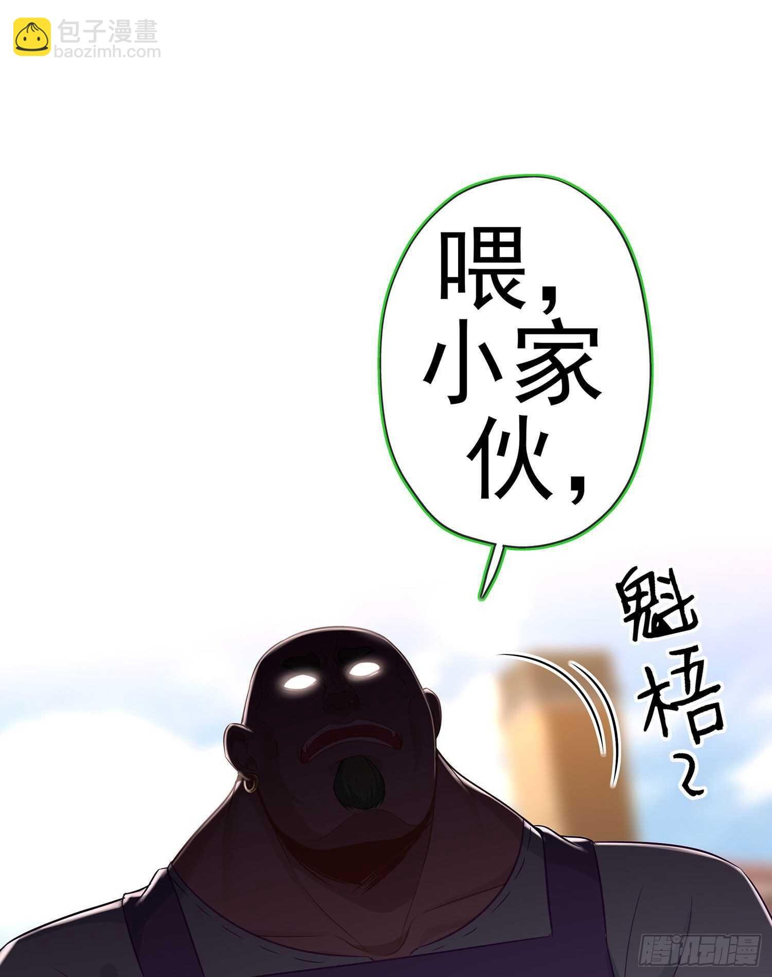 喀翠丝·维德布尔（下）