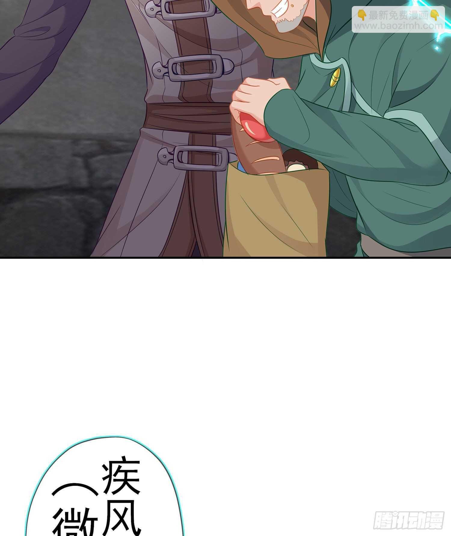 喀翠丝·维德布尔（下）