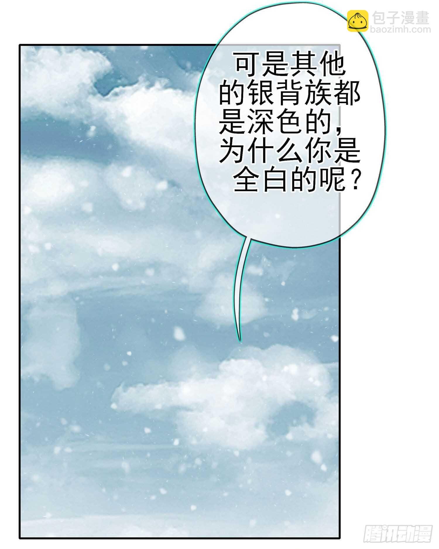 青与北（下）