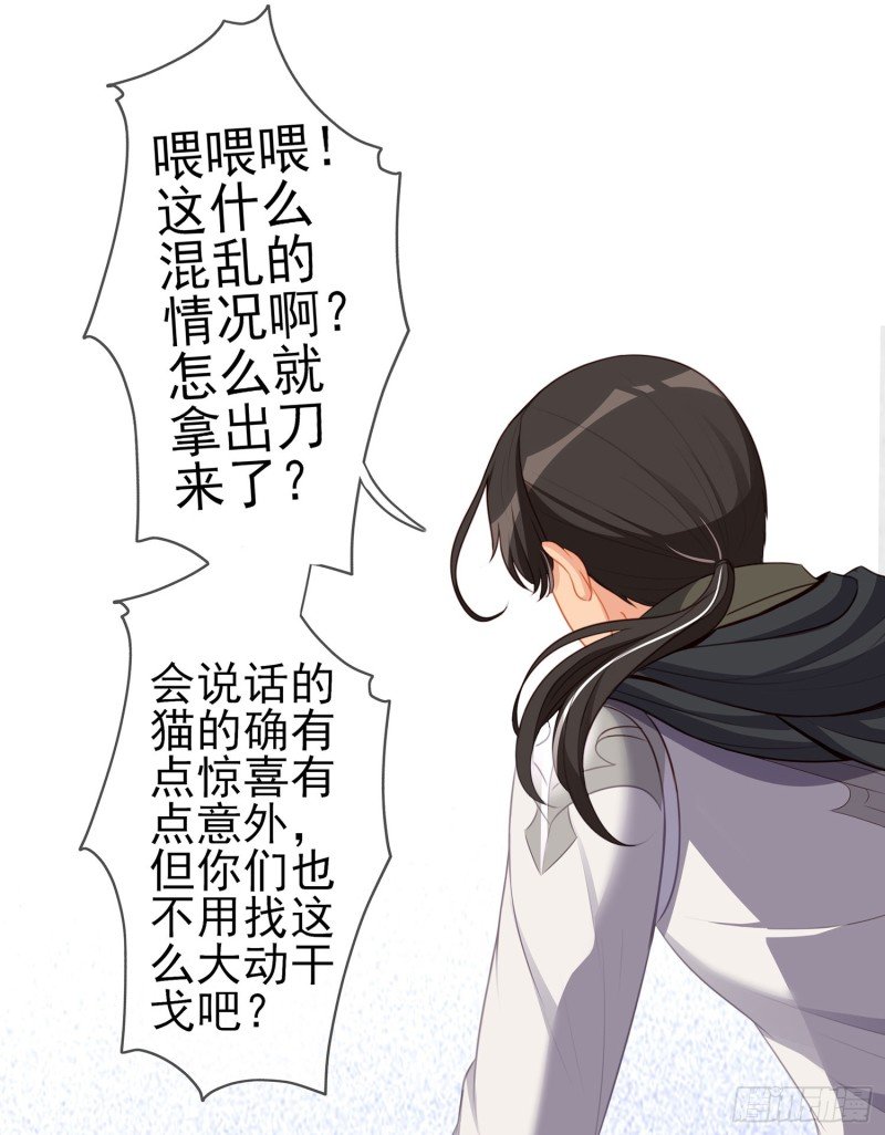 夜之剑圣（上）