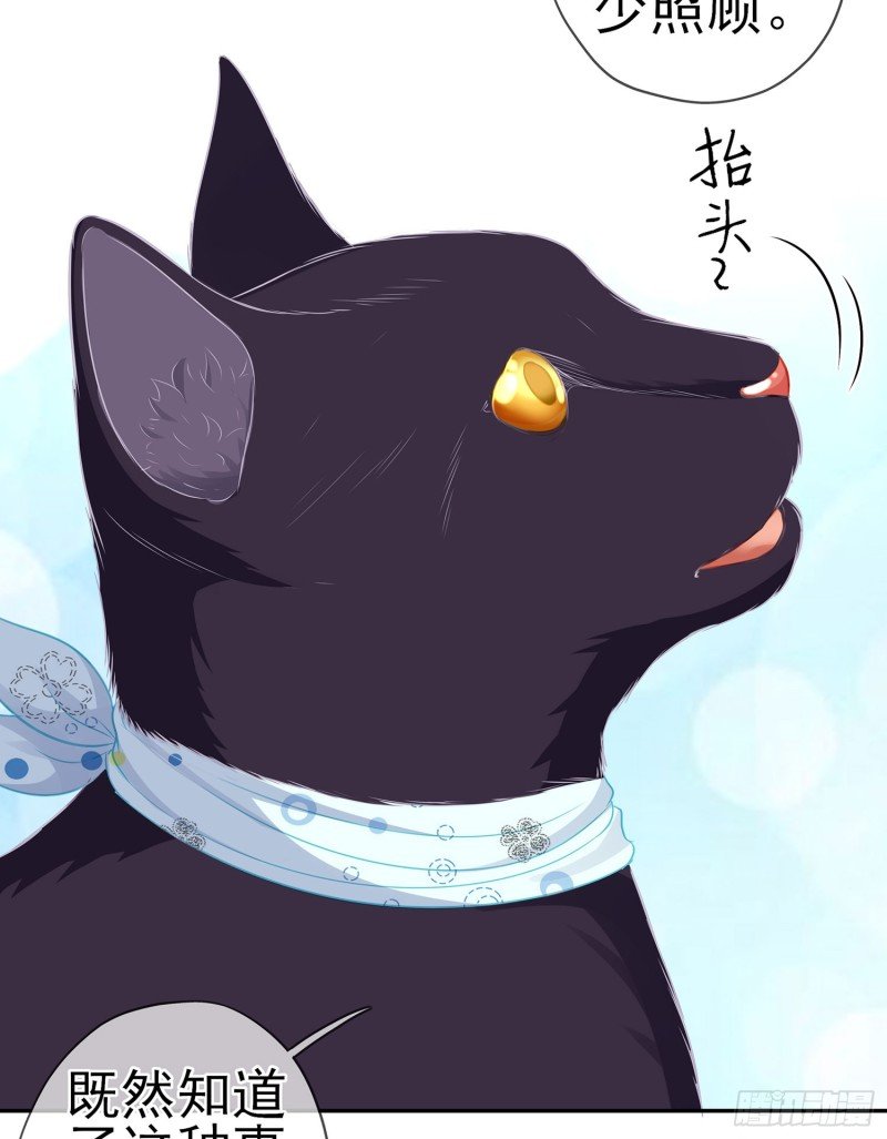 感兴趣么（下）
