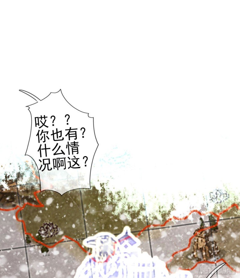 托娅的冒险（下）
