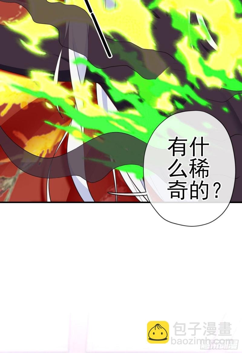 梦\/笼（上）