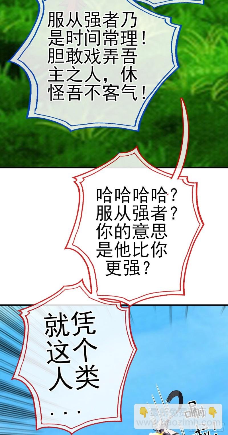 无尽装甲（上）