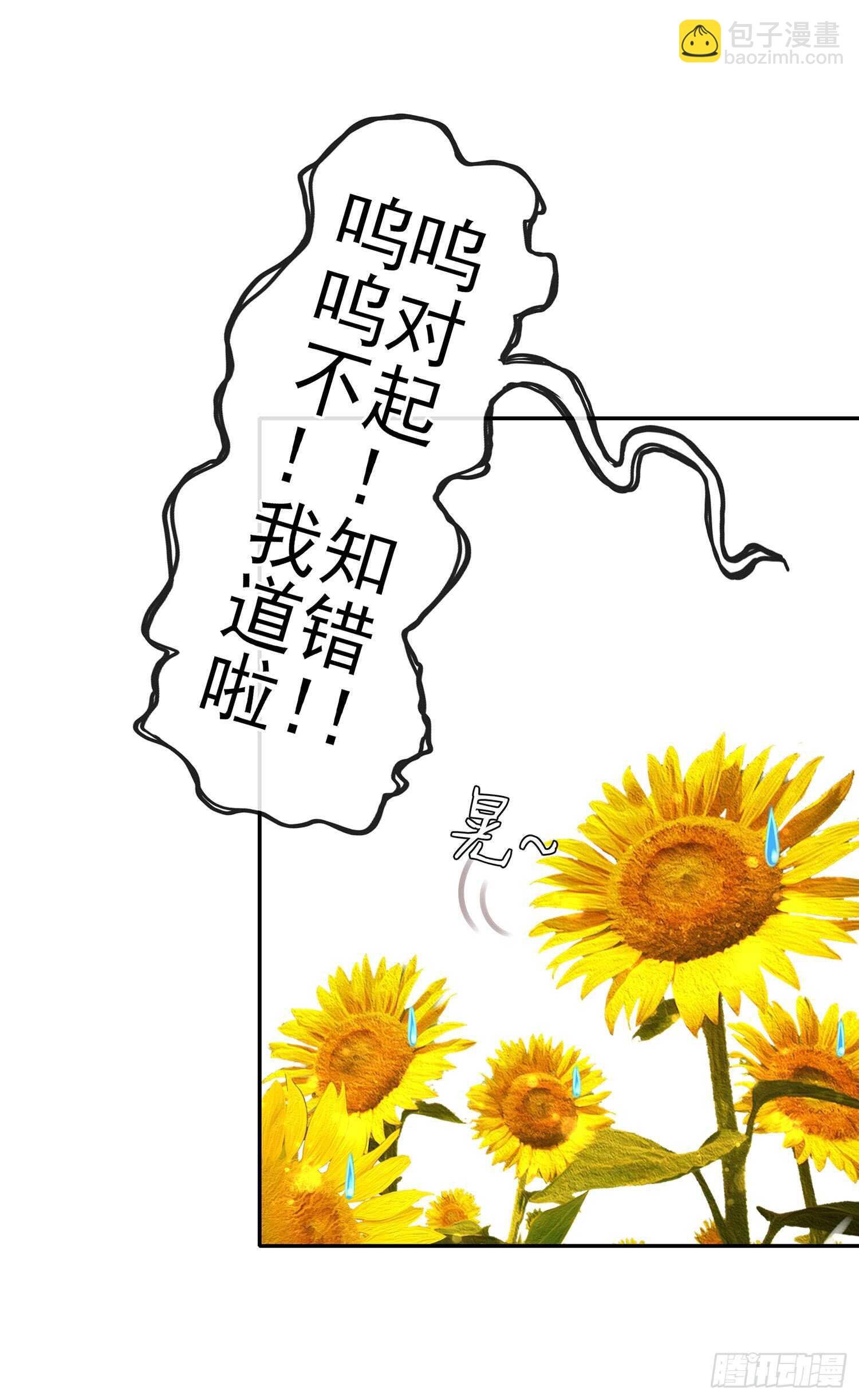 神明的请求