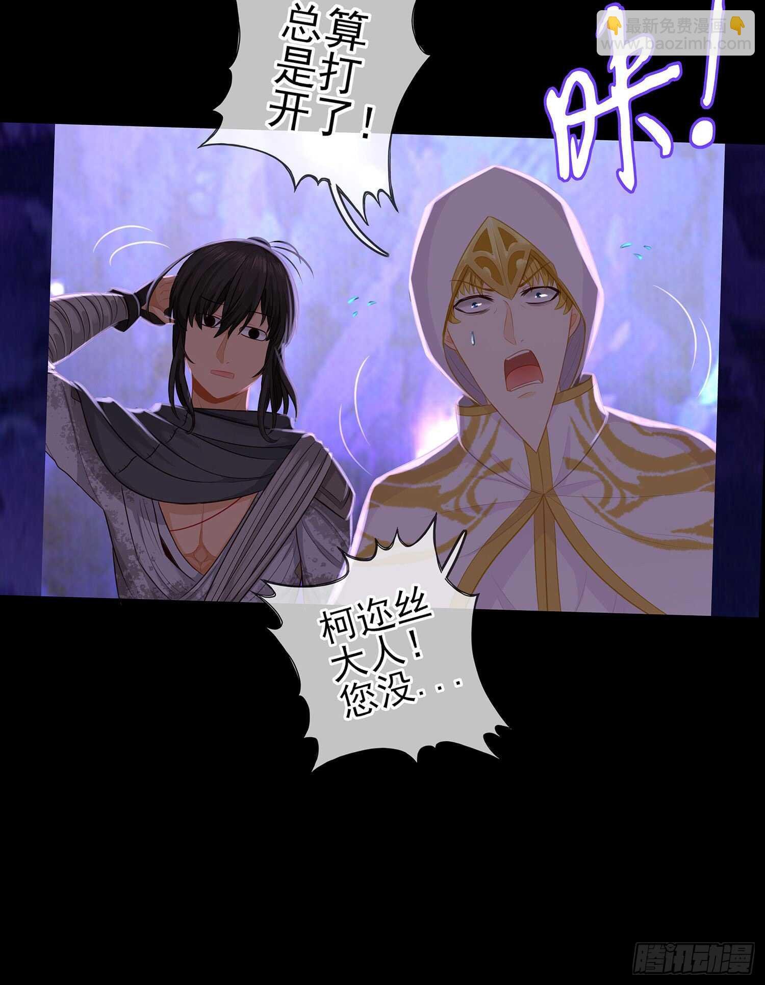 光耀之圣女