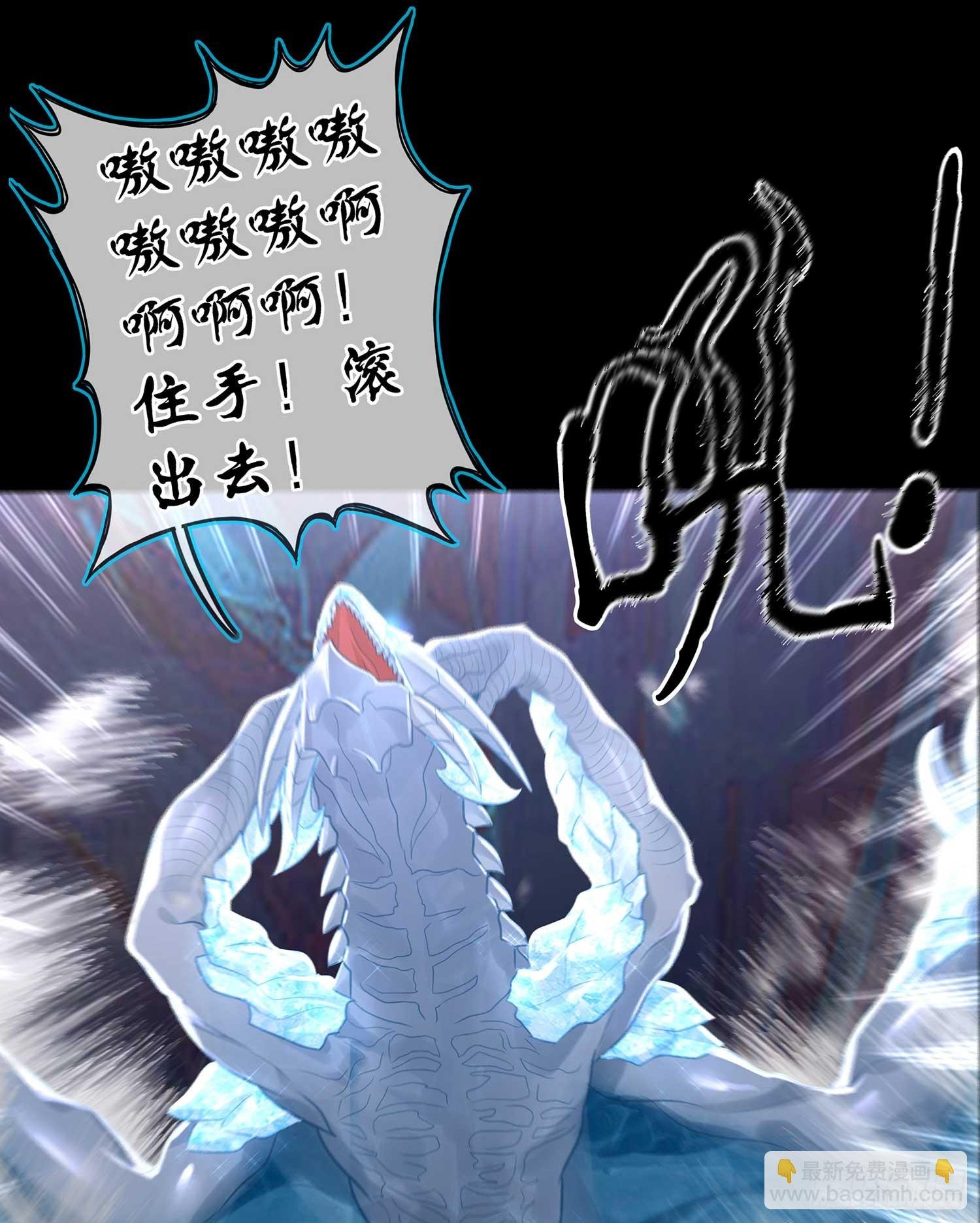 秩序之龙